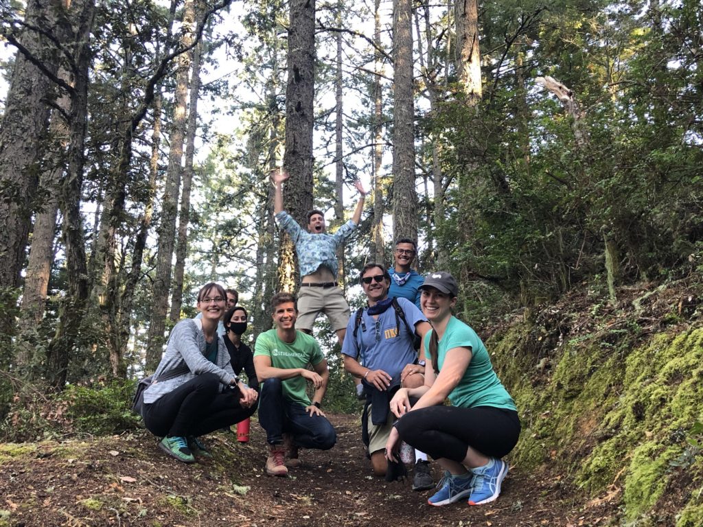 Instrumental in the woods